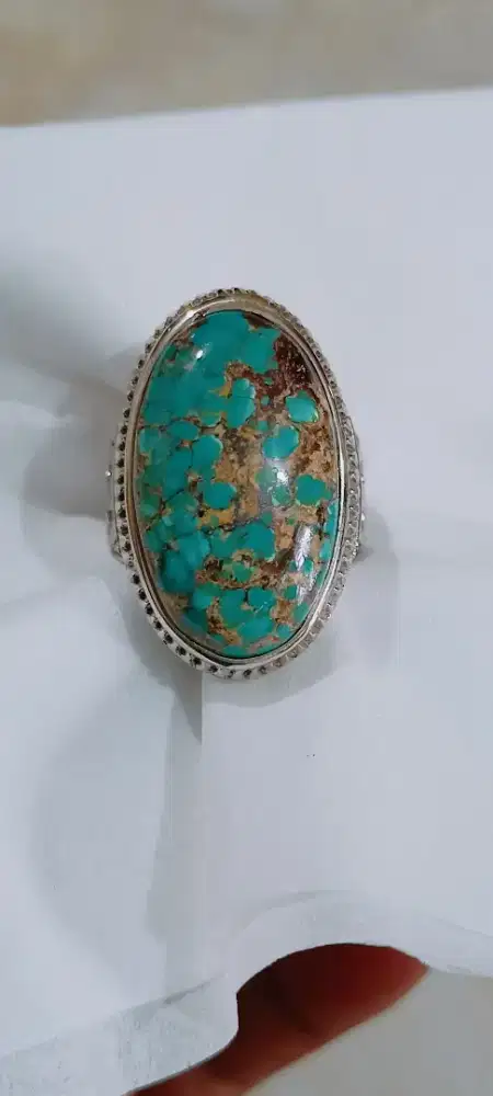 Pirus Persia Urat Emas indah Mewah