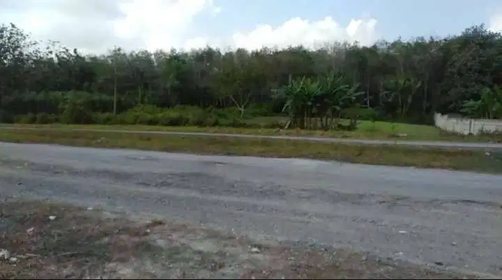 DIPINGGIR JALUR DUA KORPRI ITERA! TANAH DIJUAL MURAH BISA DICICIL