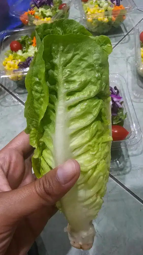 LOWONGAN ART MENGINAP