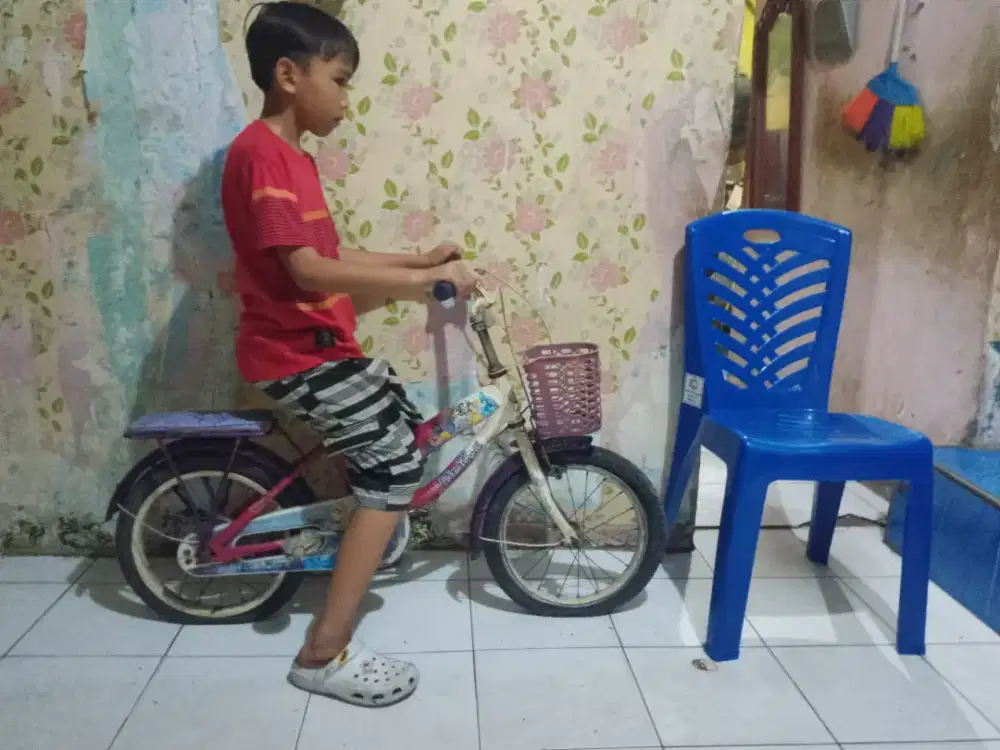 Sepeda Anak bekas dipakai