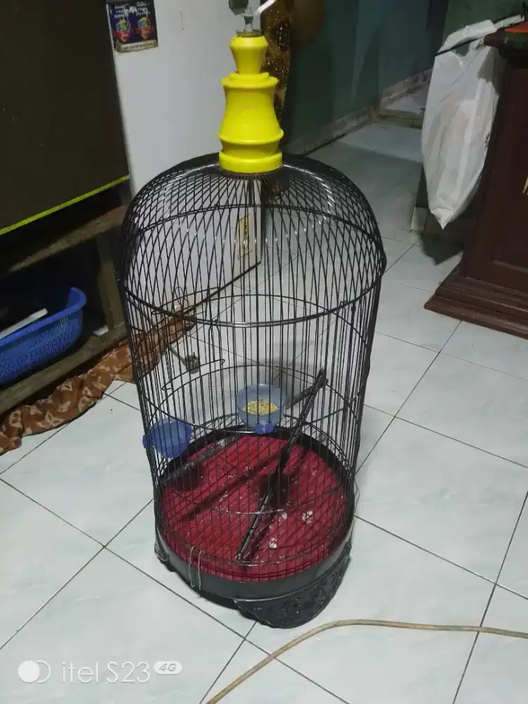 Kandang Lovebird mulus