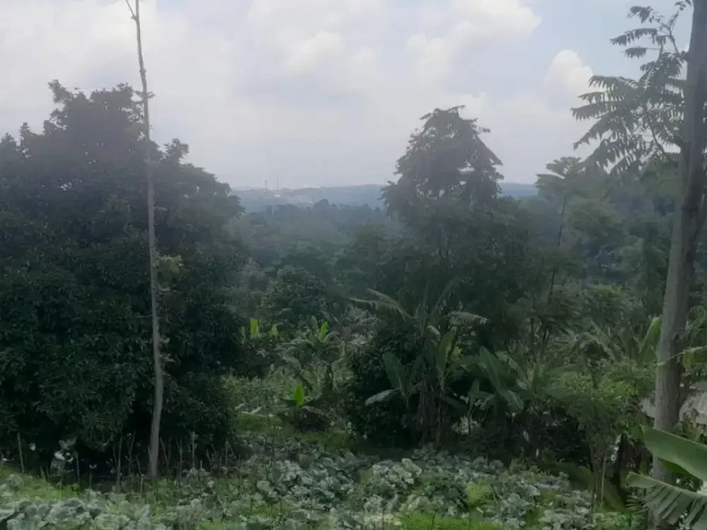 Dijual lahan kebun dan villa sejuk
