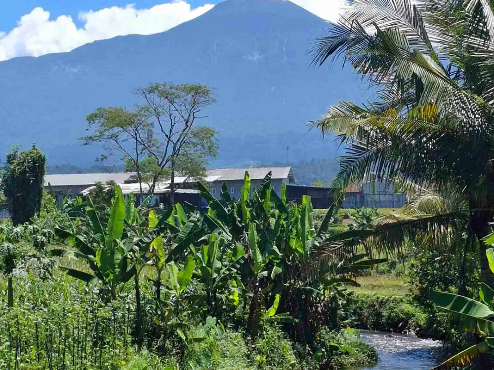 TANAH MURAH SHM PURWOKERTO VIEW ALAM SUPER MEWAH