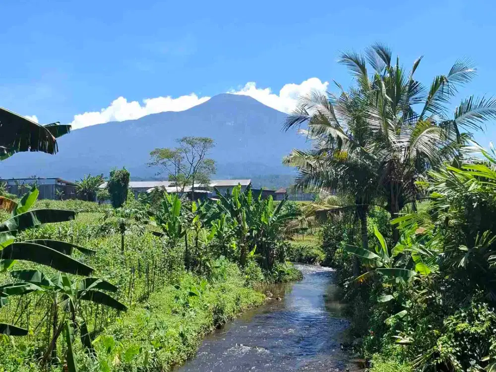 JUAL TANAH MURAH PURWOKERTO VIEW ALAM SUPER MENAWAN