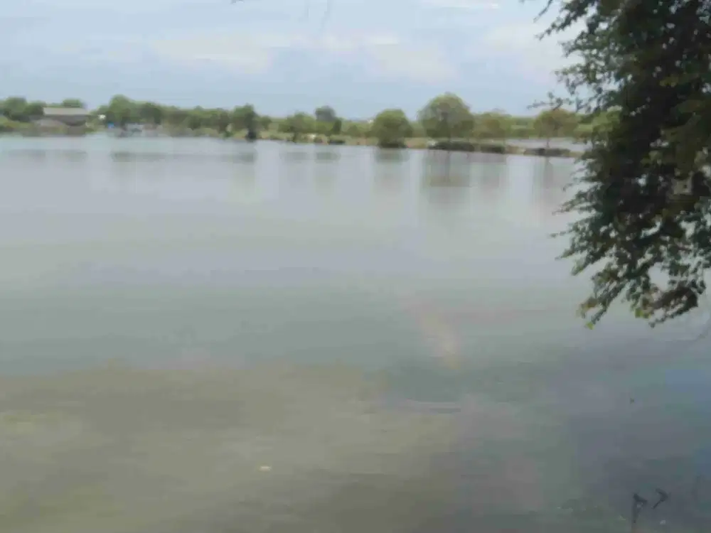 Dijual tambak dekat kampung buncitan Sedati Sidoarjo