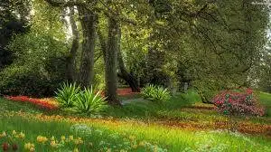 Dicari Pengemudi Pimpinan Berpengalaman