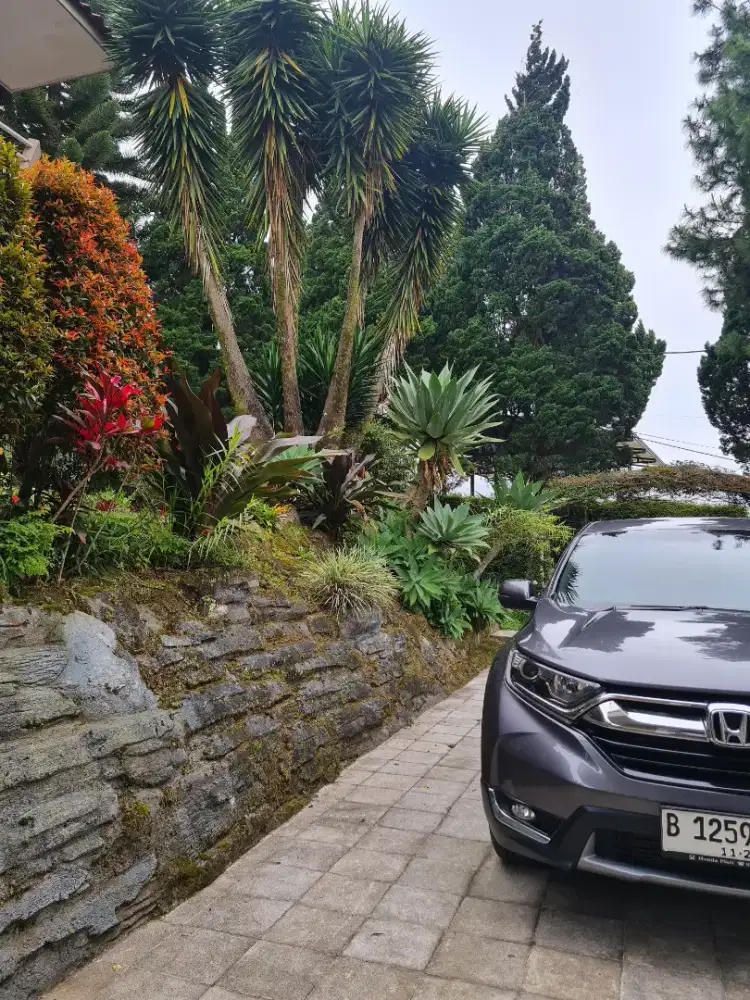 Crv 2019 turbo KM 15K