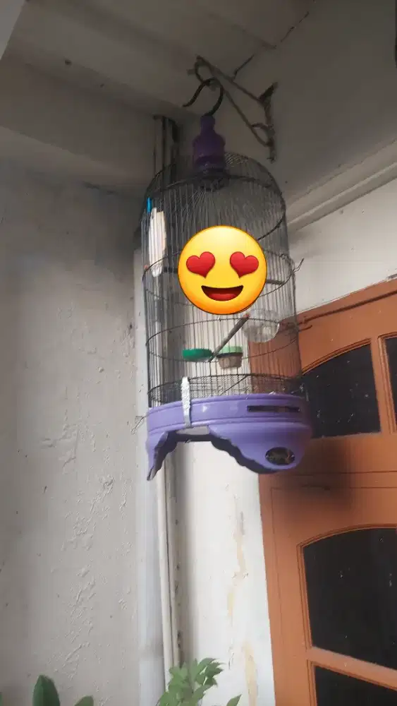 kandang sangkar lb pvc