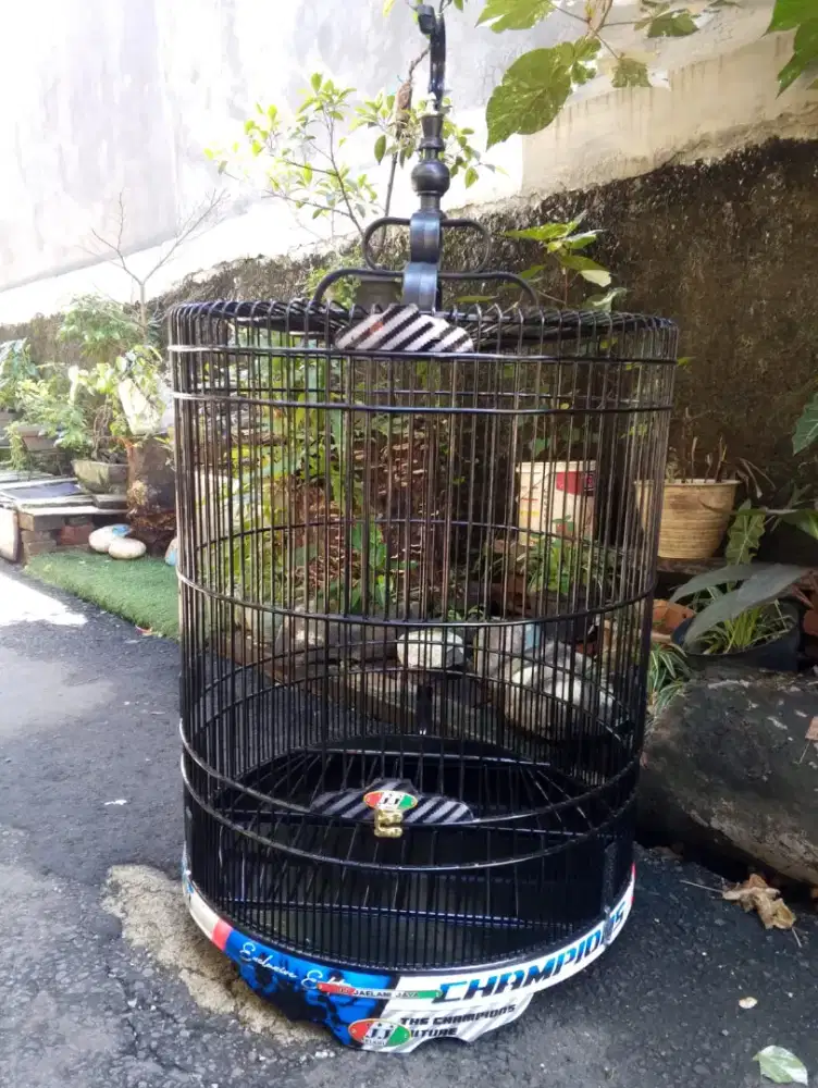 kandang murai decal merk jj no.2