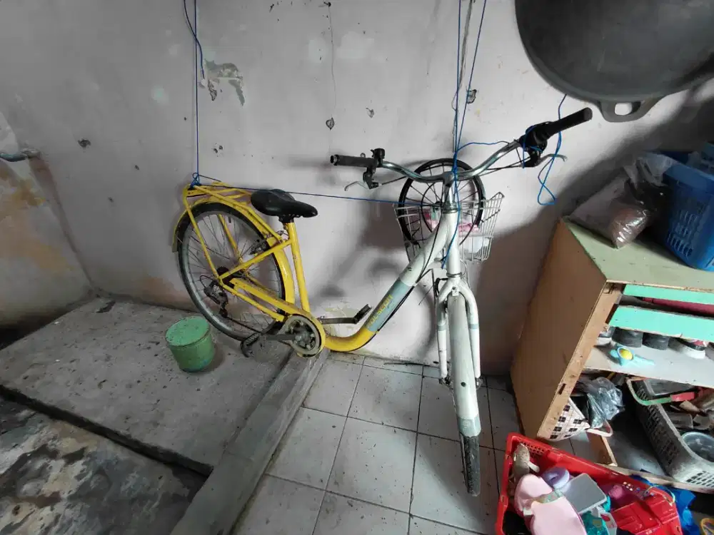 Polygon Nevada Kuning Putih