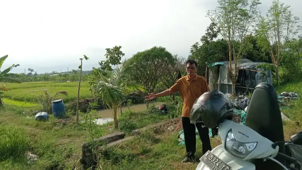 Jual sawah di Moyudan slm