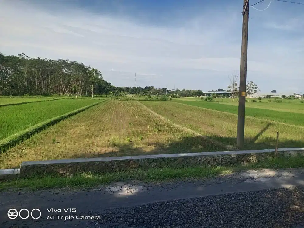 JUAL SAWAH MILIK SENDIRI 2033M2 DESA KARANG, DELANGGU, KLATEN