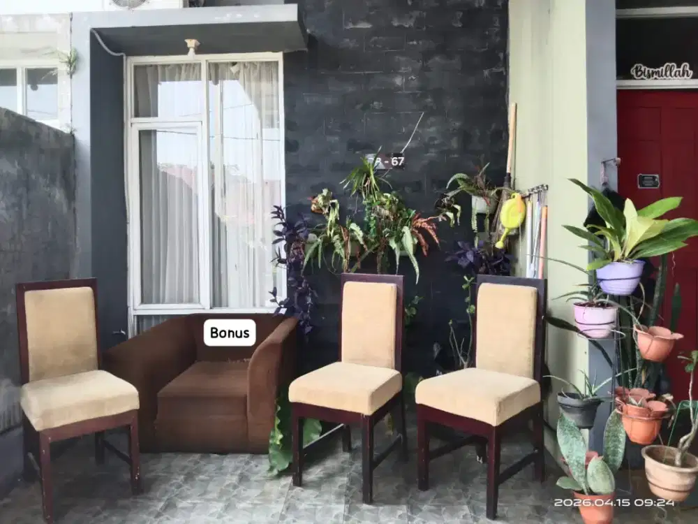 Kursi Jati Bekas Murah