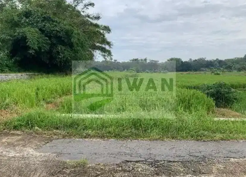 Tanah Luas & Murah Hadap Jalan Lebar Dengan View Alam Hijau