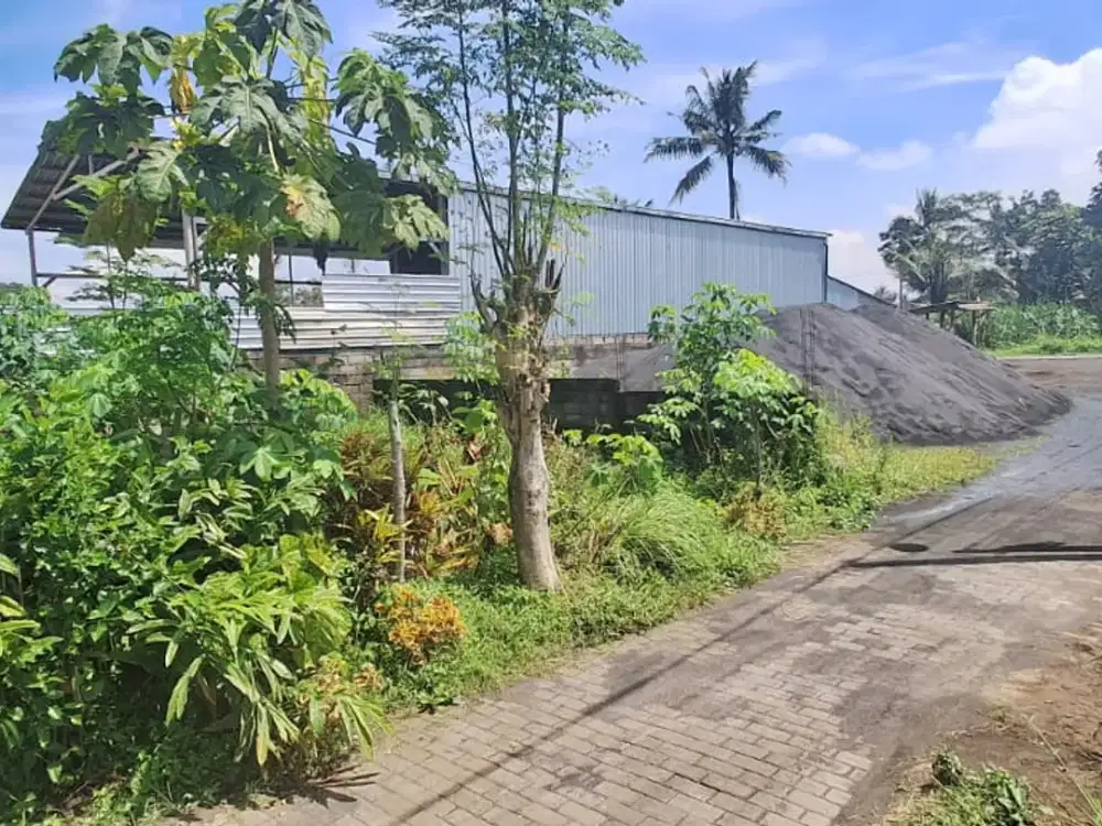 Tanah Murah Arjowinangun Malang Kota SHM Jual Cepat B.u 100 m Jl. Raya