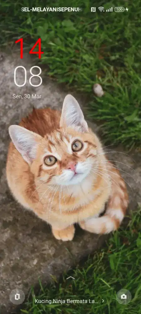 Dicari mekanik motor dan penjaga toko