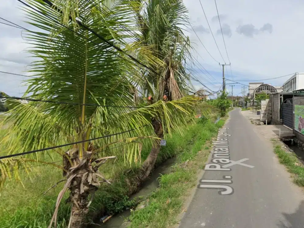 DISEWAKAN LAHAN PREMIUM DI CEMAGI