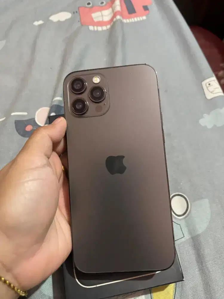 iPhone 12 pro max 512gb