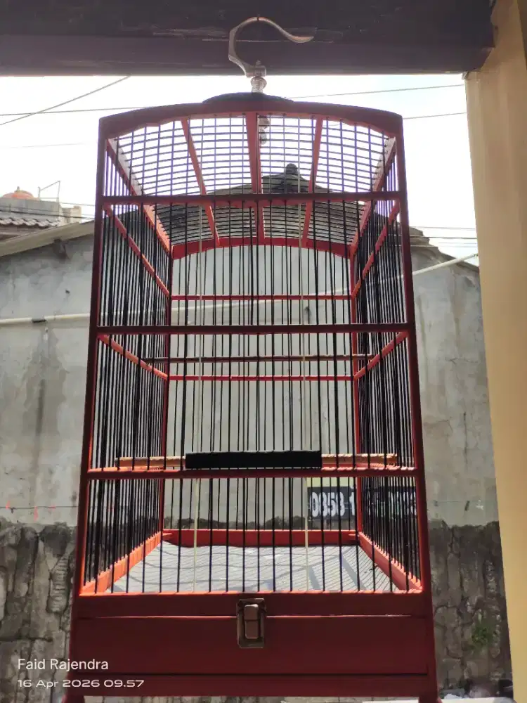 Kandang second orange