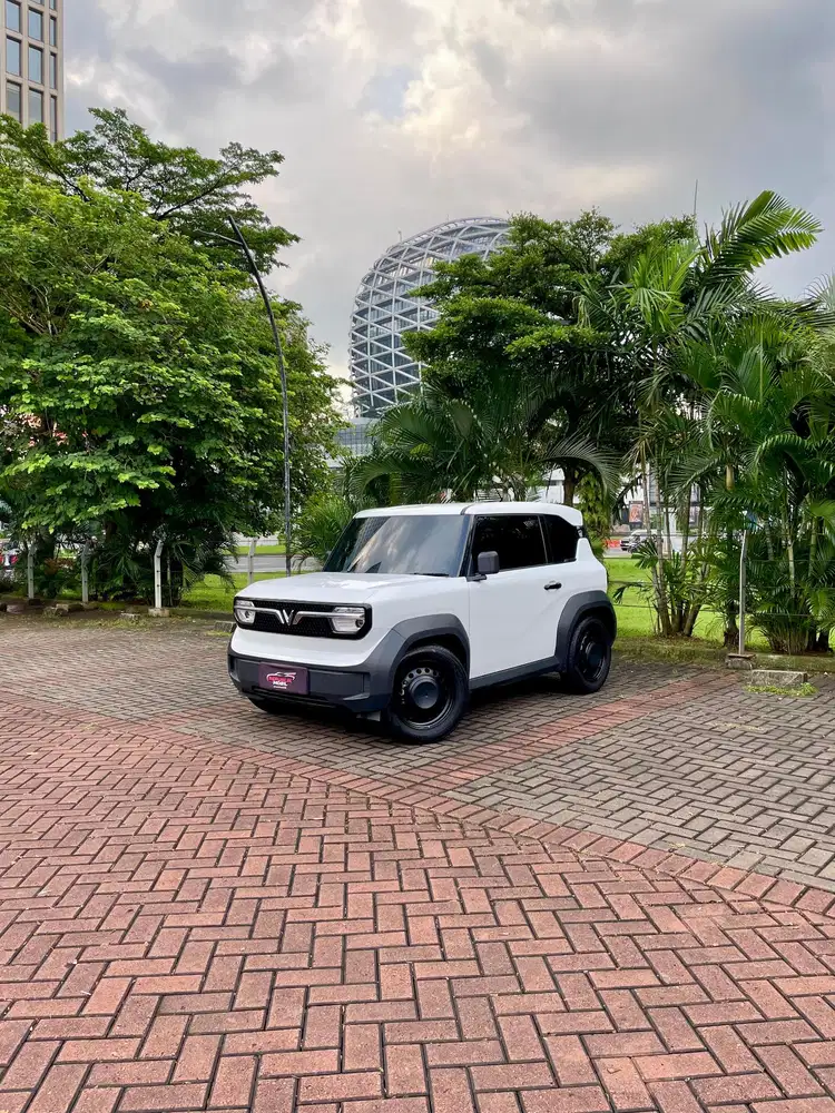 Vinfast VF3 (4x2) AT 2025
Odo (4rb)