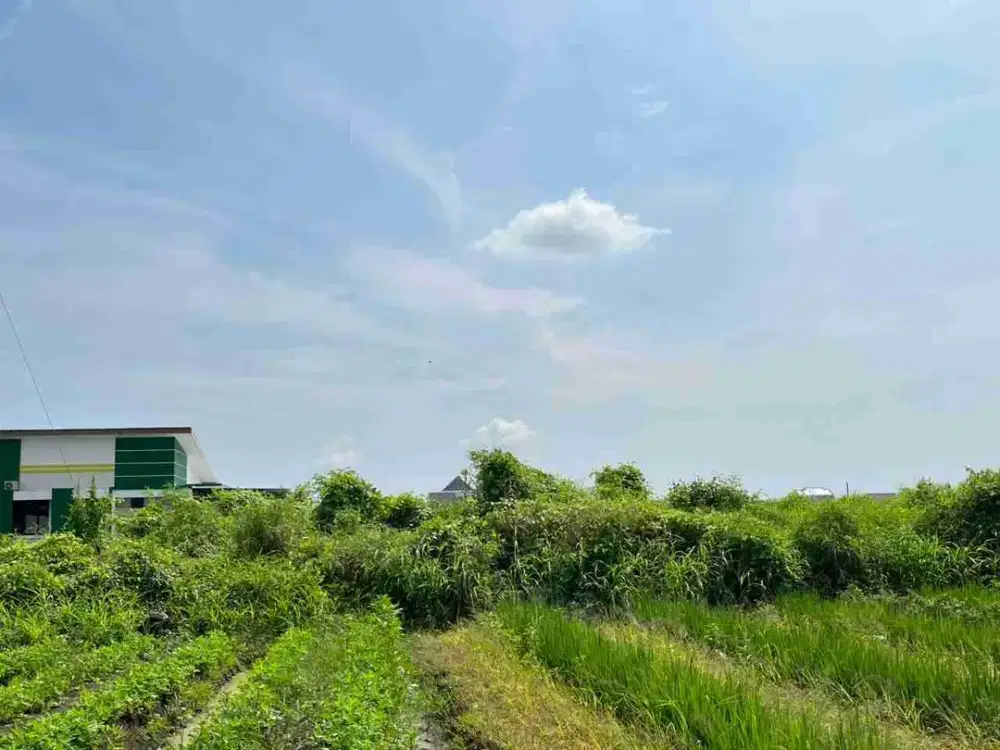 BREBES PASARBATANG TANAH STRATEGIS DEKAT KANTOR PEMERINTAHAN TERPADU (KPT) BREBES JUAL MURAH