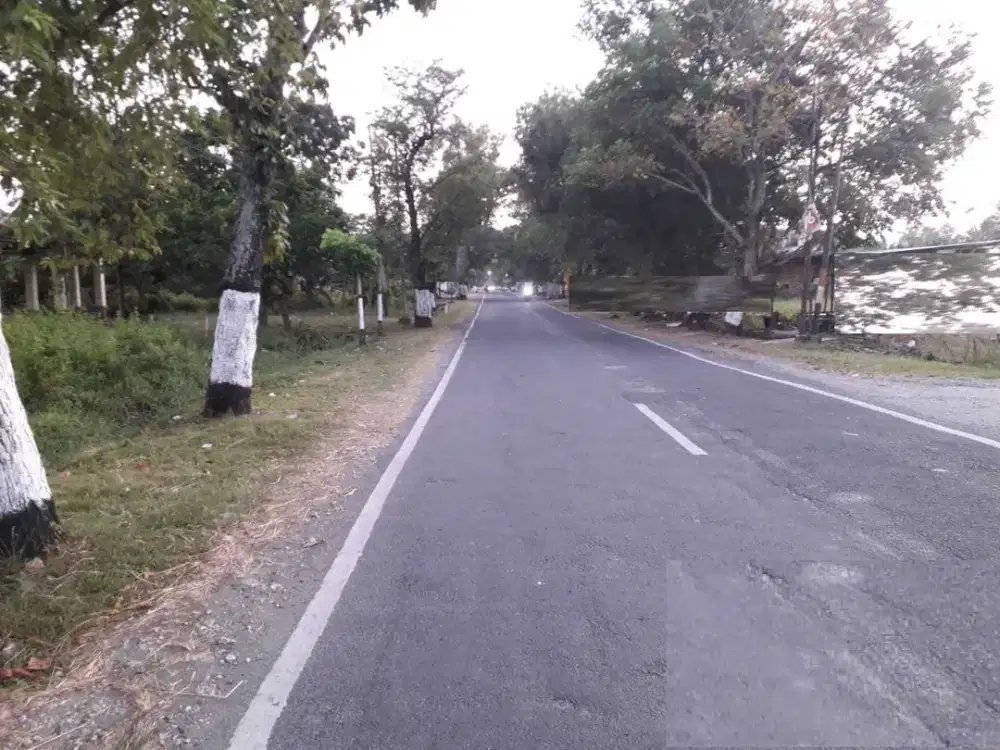 DIJUAL TANAH DAKON NGRASEH DANDER BOJONEGORO RON.A1825