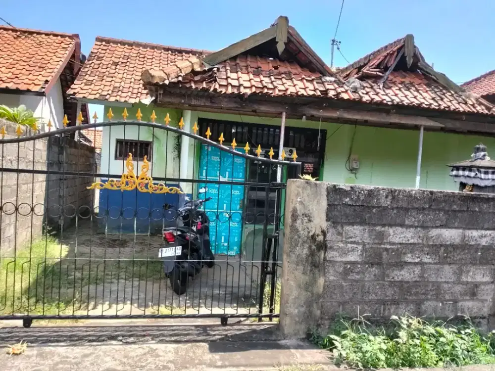 Dijual Cepat Rumah Jalan Srikandi Gang Anggrek Desa Sambangan Buleleng