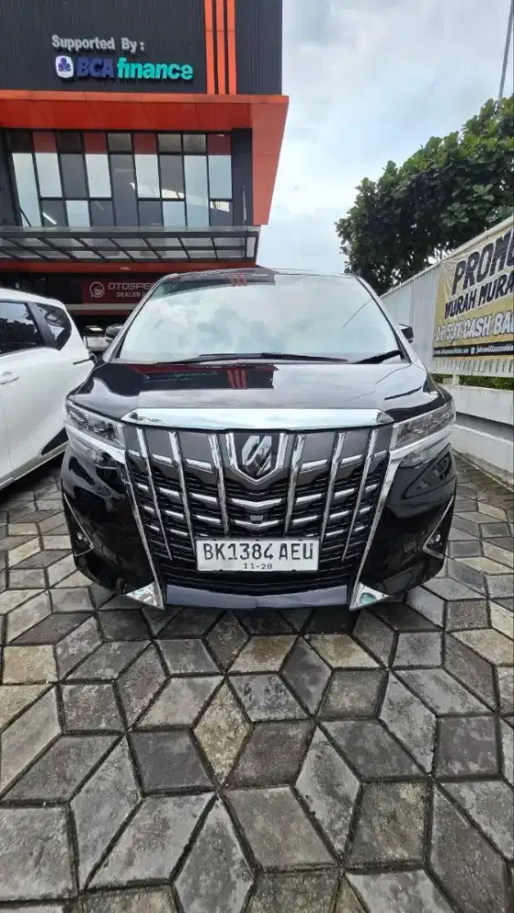 ALPHARD KM 19 DP 50