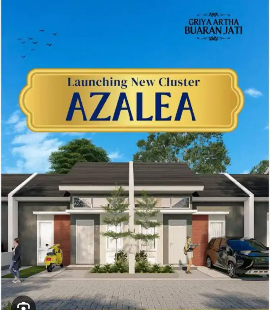 Sales inhouse developer