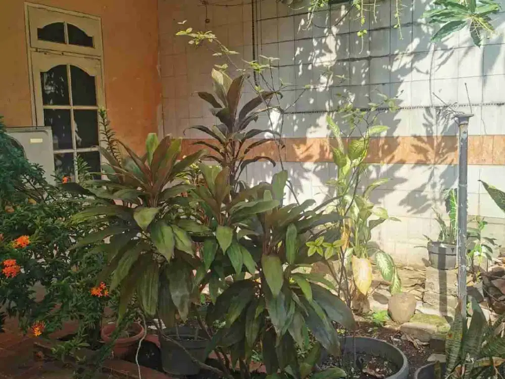 Dijual Rumah Lebar 9 Meter di Kelapa Gading – Jarang Ada!