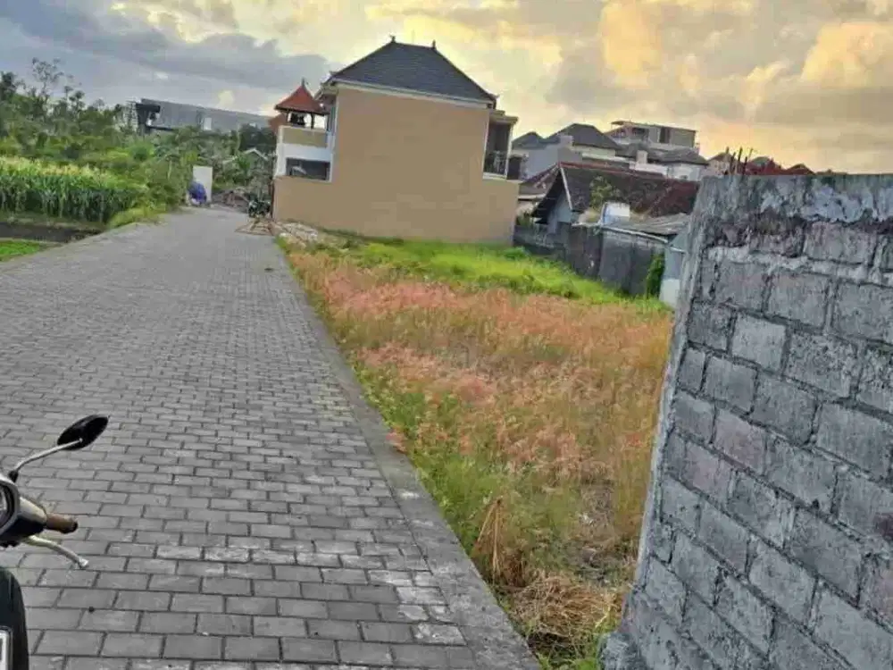 Jual Tanah 1 are/100m² Lokasi Jl Kedundung Cargo Ubung Denpsar Zona Kuning & SHM