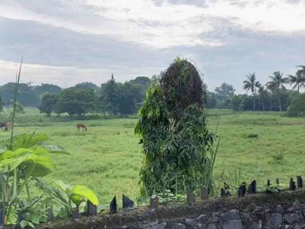 Dijual Kavling Luas Di Pamulang AF 18034