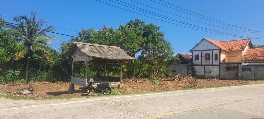 Di jual tanah pinggir jalan raya Bayah