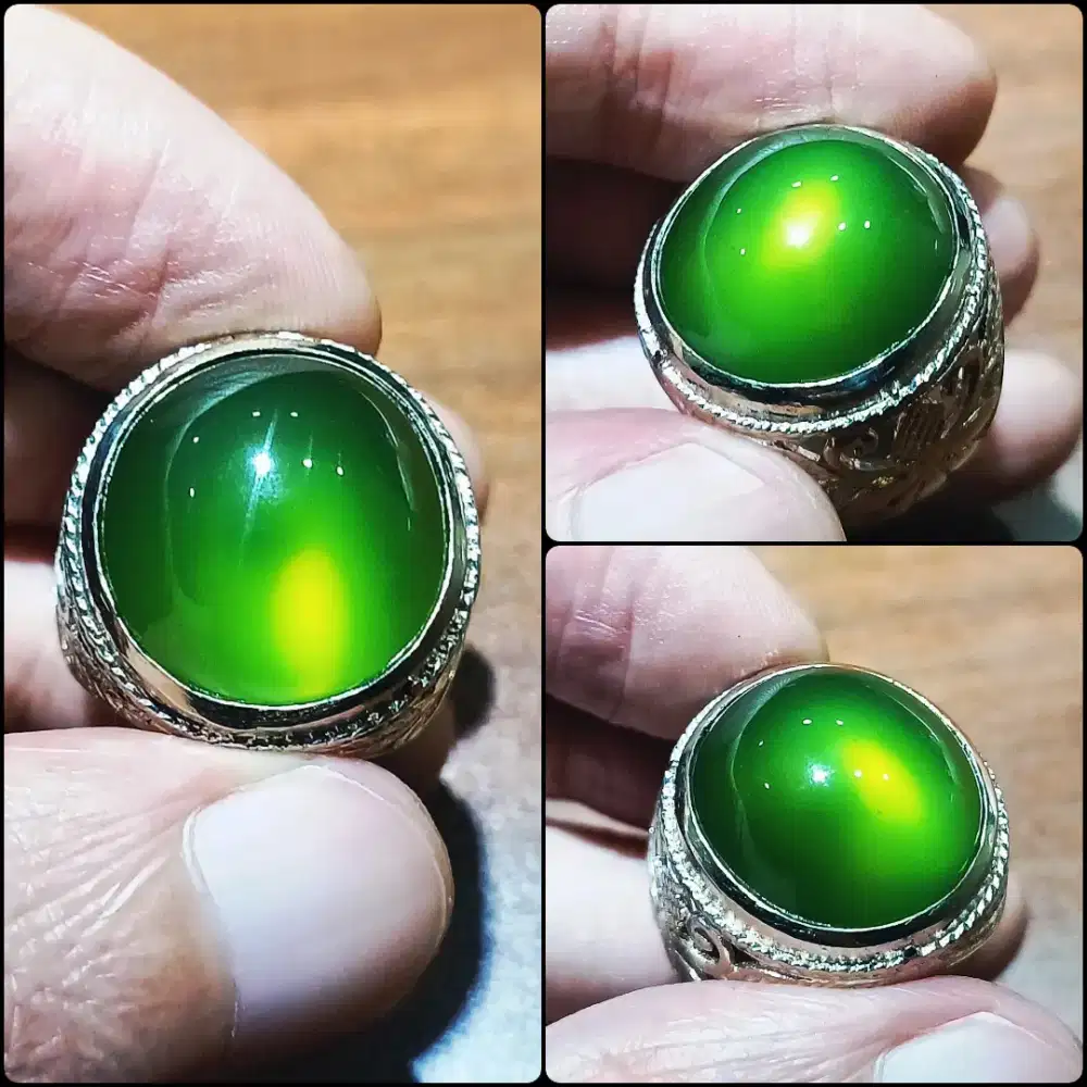 Green Serpentine Pakistan HQ