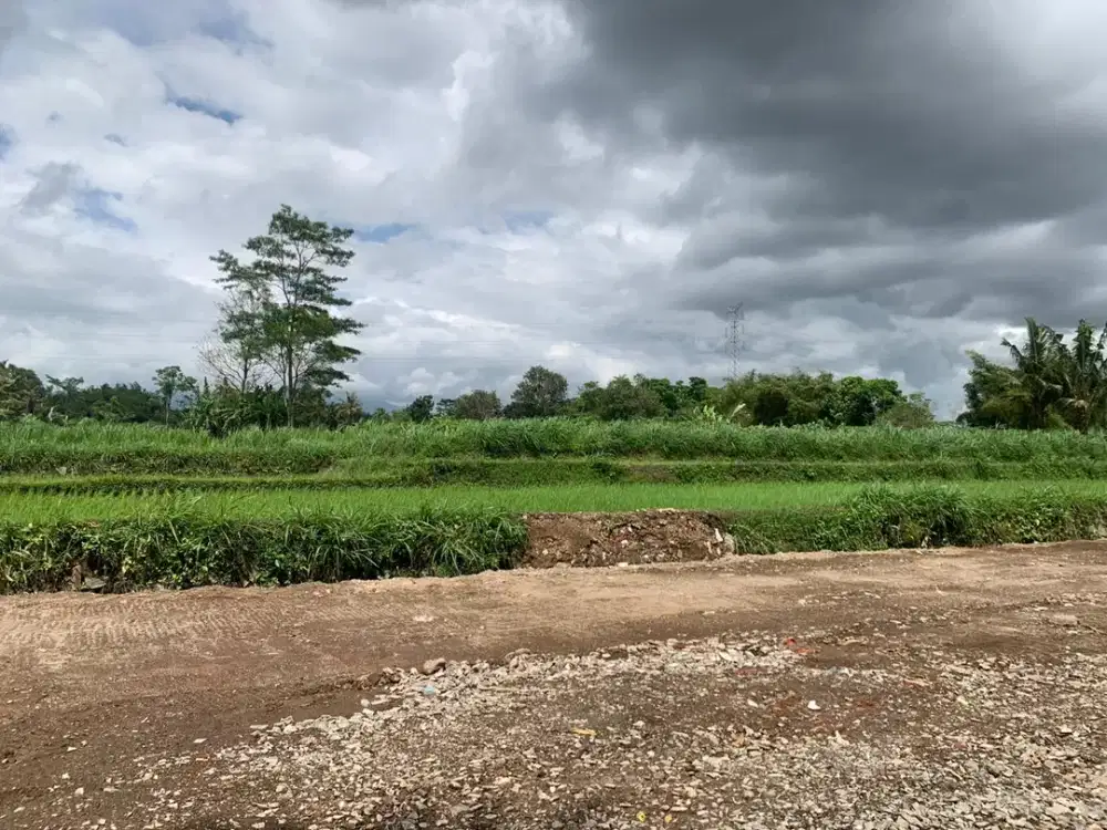 Tanah View Sawah Dekat SCH Mall