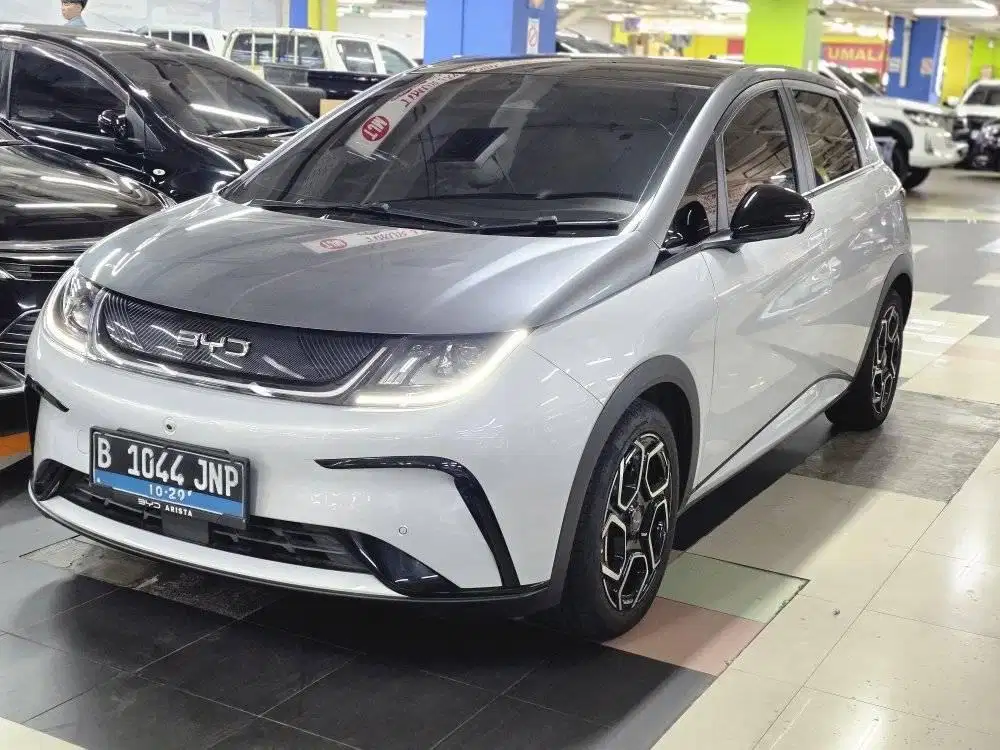 BYD dolphin premium 2024