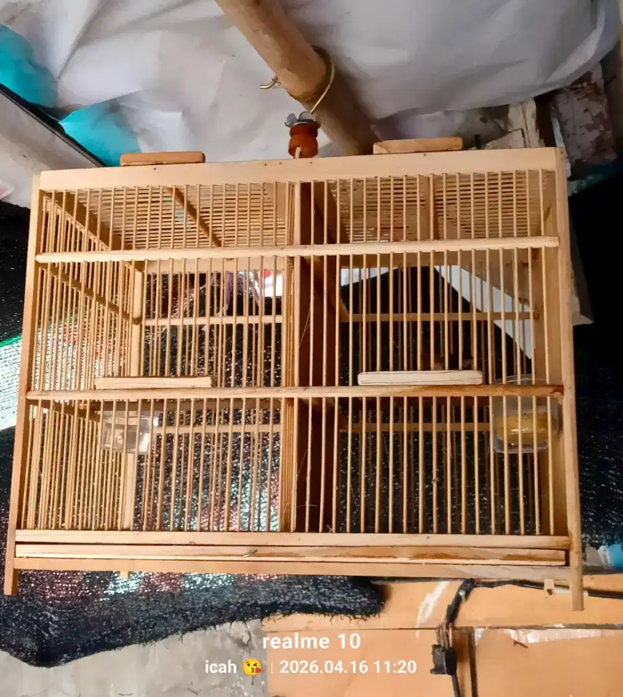 Kandang sekat burcil baru bt kndng lb