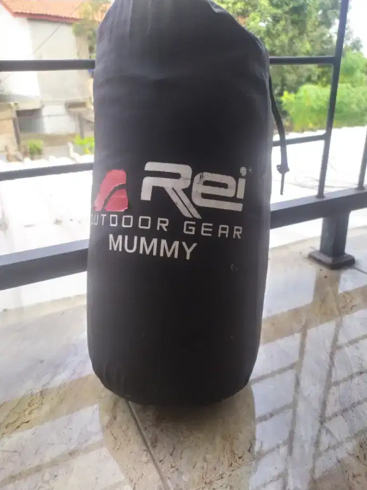 sleeping bag rei mummy
