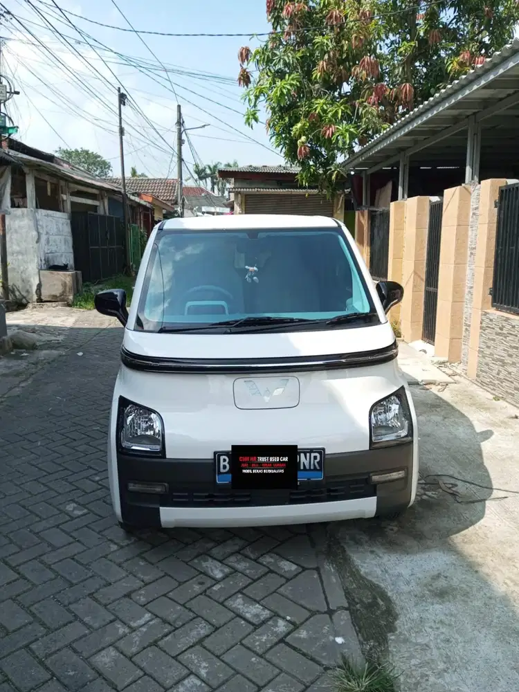 AIR EV LONG RANGE type Lite KM. 300