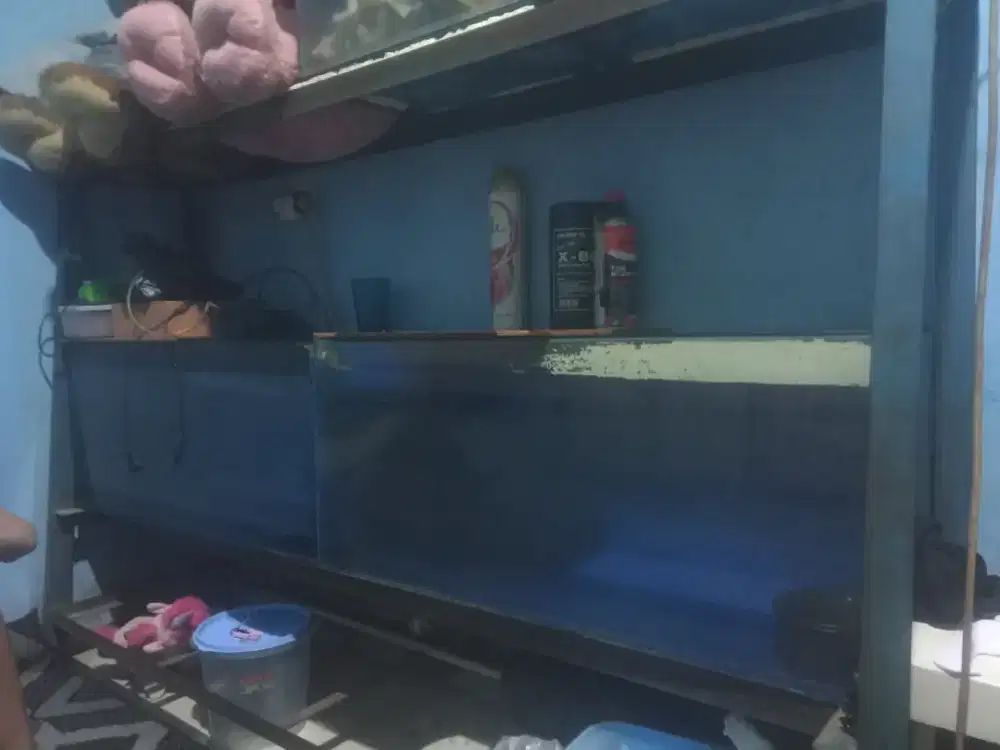 Aquarium kaca untuk ruang tamu