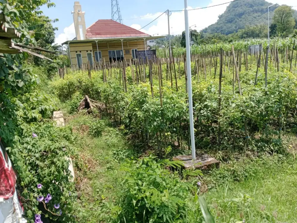 DIJUAL MURAH TANAH DEKAT WISATA JATIMPARK 3 KOTA BATU