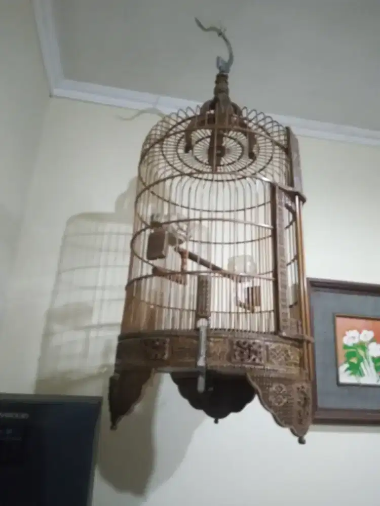 Sangkar burung anis dll