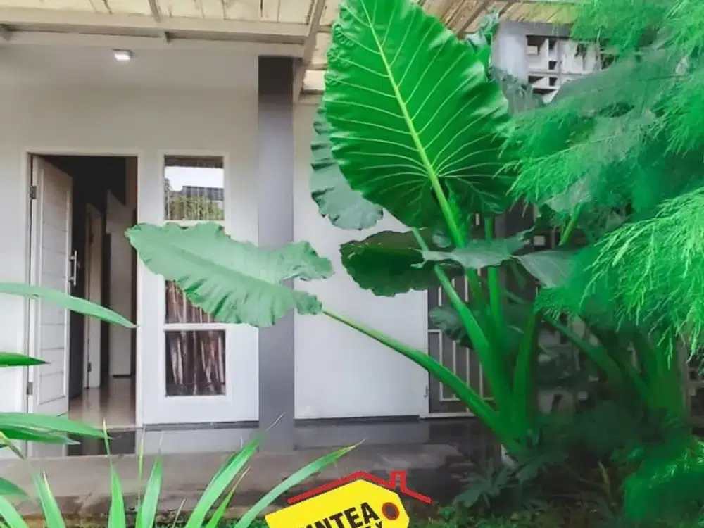 Hot Deal! Bintaro Sektor 9 Tangerang Selatan SHM – 2+1Kt, Siap Huni, Full Fasilitas (Im)