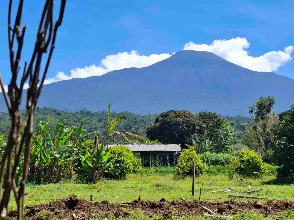 JUAL TANAH PURWOKERTO KOMPLEK WISATA UDARA DINGIN