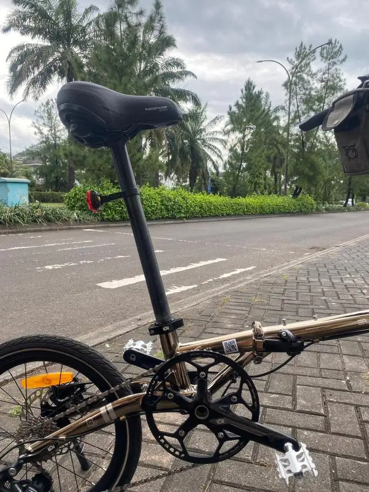 ELEMENT, TROY 10SP 16 COKLAT GOLD