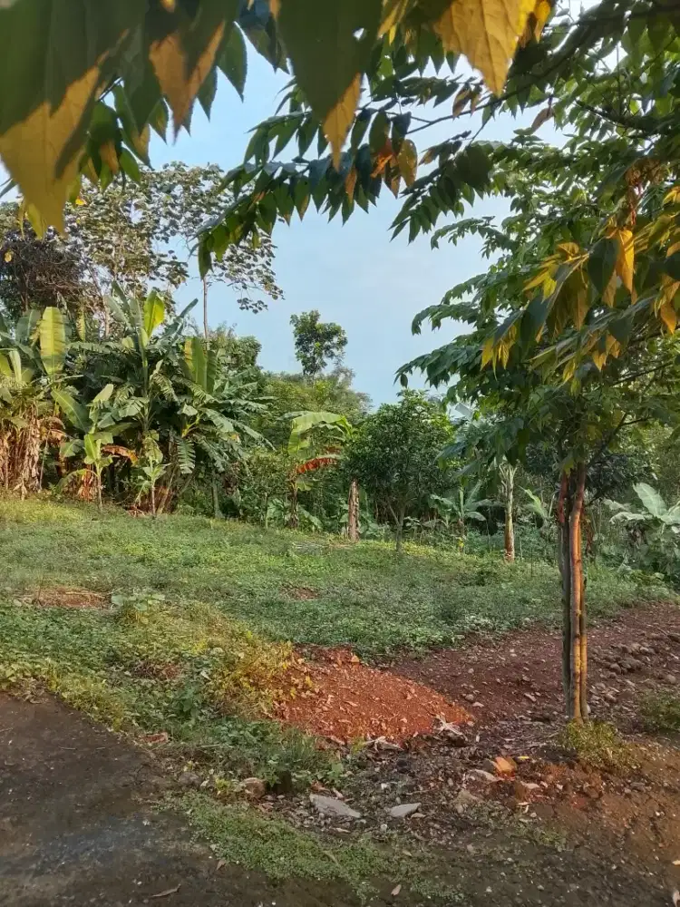 Dijual tanah luas 101 m3