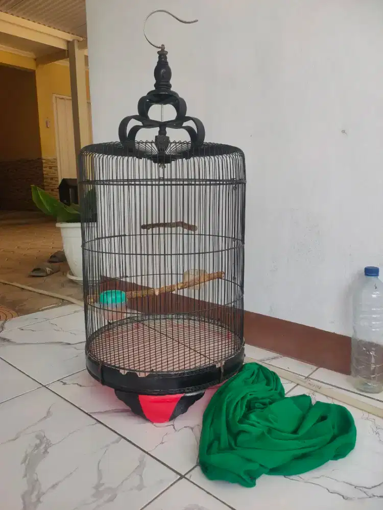 Kandang lb jumbo dm 42 murah