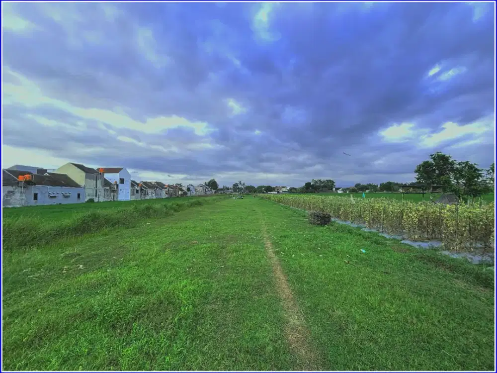 Tanah Sidoarum View Sawah Cocok Untuk Villa