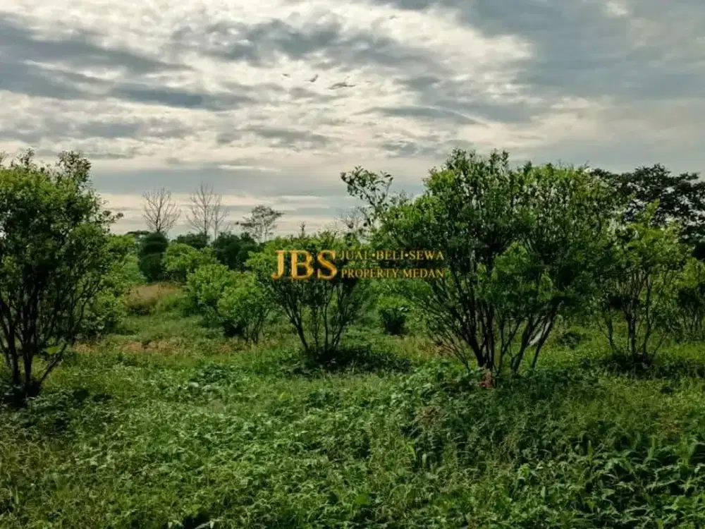 Tanah Kosong Dijual di Daerah Karo, Desa Guru Benua Kec. Munte