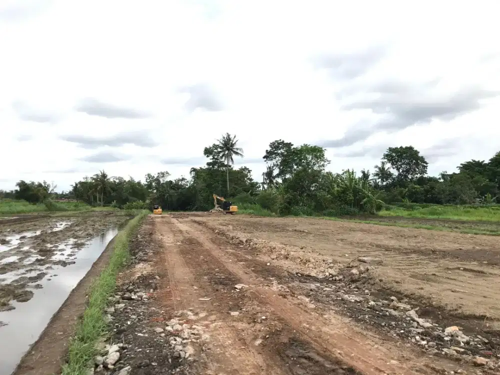 Tanah SHM Jalan Pandowoharjo Sleman View Sawah